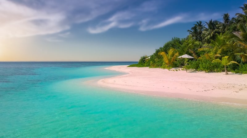 Island Paradise